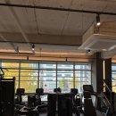 로마짐 합정 이미지