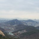 비봉길 Daum카페