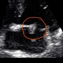 성심메디칼 이미지
