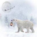 북극곰 이미지