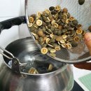 여사랑한의원 | 어린탱자 지실 효능 차로 마시면 두드러기 치료로 딱이야!