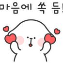 (주)카발리에 이미지