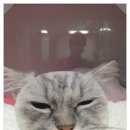 백호동물병원 이미지