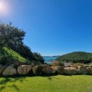 약산흑염소 이미지