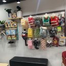 멍뭉유치원 이미지