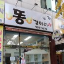 똥강아지 미용 이미지