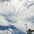 하늘소리마트