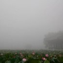 유등연지 이미지