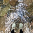 물길산장 | 완주 알프스산장 후기, 전주 동상계곡 검태오남매 예약 및 입장료
