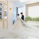 타임결혼정보 이미지