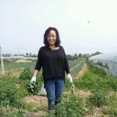 밀알교회 이미지