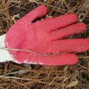 영심농장 이미지