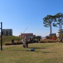 남산공원 이미지