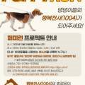 퍼피런 이미지