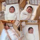 우먼플러스산후조리원 | 수원 조원동 우먼플러스 산후조리원 내돈내산 솔직 후기