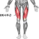 나이스프레스 이미지
