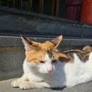 원터길 22 이미지