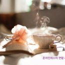 노마드(주) 이미지