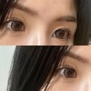 아이젠트리 신암점 | 뉴트럴무드 원데이 브라운 아이젠트리 위드렌즈 대구신암점에서 구매후기!