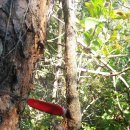 송담1로 이미지