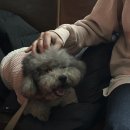누보워크