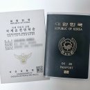 인생 처음으로 국제운전면허증 발급받은 후기 (+국제운전면허증 발급처 및 사용가능 국가 리스트)