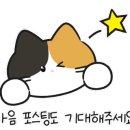 로지헤어샵 이미지
