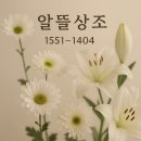 장례지도사, 어떻게 준비할까? 연봉은? 자격증?