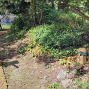 수피아관광농원 이미지