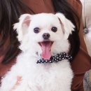 두리커뮤니케이션
