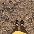 백현펜션 이미지