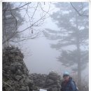 토지초교 이미지