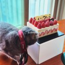 정다운 우리 가곡교실 | [연말정산] 사진으로 정리하고 기록하는 2025년