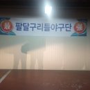 수원베이스볼파크