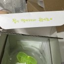 구청 남측광장 | 다녀온 내돈내산 솔직후기 (핸디버스 후기, 콘서트 꿀팁, 화장실, 남측 시야, 맵핑, 공식 MD실물, 셋...