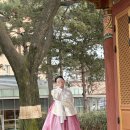 (주)석경 | 두둥! 봉래헌 돌잔치 당일 🗯️김기정스냅/브러쉬앤꼬리빗/시재아뜰리에/시돌이네돌상 후기