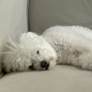 남해-131 | 설날 연휴에 1박2일 남해여행!