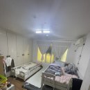 라인동산마트