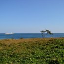 해동포장