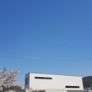 라프커피(LLAF COFFEE) 이미지