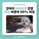 중곡동물병원 이미지