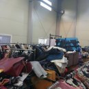 오렌지빈티지 이미지