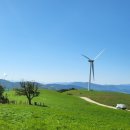 푸름목장 이미지