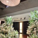 웨스턴 소프트 | 웨스턴베니비스 신도림 하객시점 후기(주차/홀/뷔페)