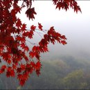 임곡초교 이미지