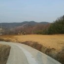 하동약초 이미지