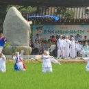 도장밭노래마을 이미지