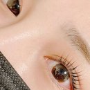 아이래쉬미 네이버블로그