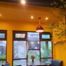 베트남쌍둥이커피 이미지