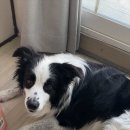 서구-01-11 이미지